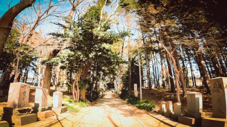 The approach to Tengata Hoshi Shrine, Nagasaki, Nagareyama, Chiba Prefecture