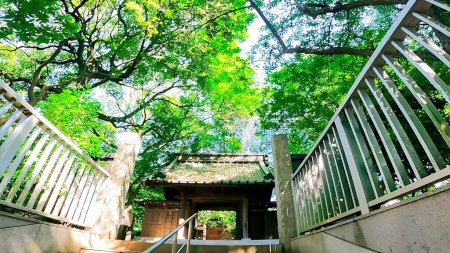 Templo Ryukoji en Izumi, barrio Suginami, Tokio, JapónDentro de los terrenos del templo hay un área sagrada donde se puede experimentar una peregrinación a los 88 templos sagrados de Shikoku.Fundada en 1172 (Joan 2), al final del período Heian