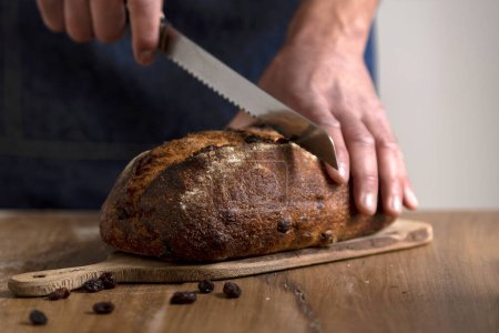 Photo for Hands holding big homemade sourdough bread with seeds and cereals and bread knife cutting into slices - Royalty Free Image