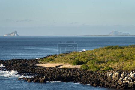 Téléchargez les photos : Paysage de plage avec la mer et les vagues et les falaises des côtes des îles Galapagos dans l'océan Pacifique avec des eaux bleues et vertes et des roches volcaniques - en image libre de droit