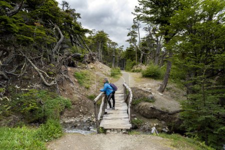 Téléchargez les photos : Femme contemplant et marchant à travers de beaux paysages de montagnes forêts rivières et ponts style de vie de voyage ushuaia argentine fin du monde - en image libre de droit