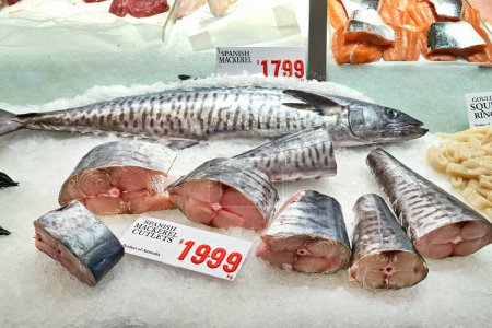 Photo for Sydney. New South Wales. Australia. The Fish Market. Fresh mackerel - Date: 22 - 08 - 2023 - Royalty Free Image