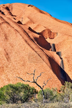Foto de Senderismo alrededor de Uluru Ayers Rock. Territorio del Norte. Australia - Fecha: 27 - 08 - 2023 - Imagen libre de derechos