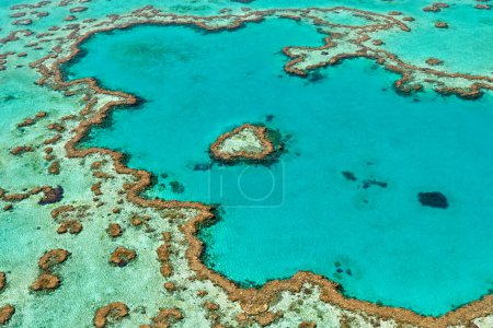 Heart Reef. Hardy reef. Great Barrier Reef. Queensland. Australia - Date: 03 - 09 - 2023