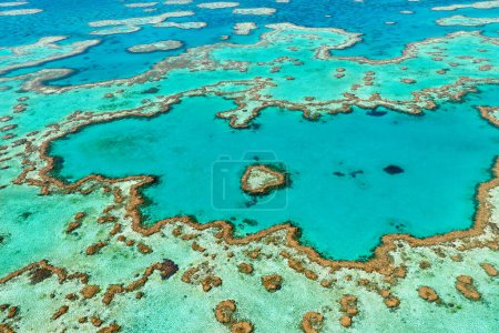 Foto de Arrecife del corazón. Arrecife resistente. Gran Barrera de Coral. Queensland. Australia - Fecha: 03 - 09 - 2023 - Imagen libre de derechos
