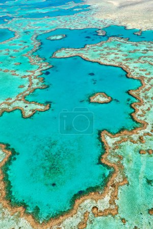 Photo for Heart Reef. Hardy reef. Great Barrier Reef. Queensland. Australia - Date: 03 - 09 - 2023 - Royalty Free Image