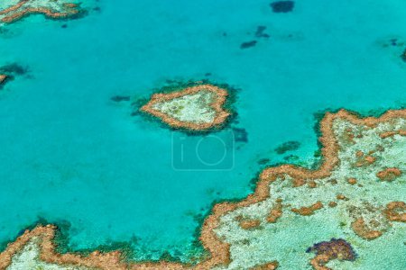 Photo for Heart Reef. Hardy reef. Great Barrier Reef. Queensland. Australia - Date: 03 - 09 - 2023 - Royalty Free Image