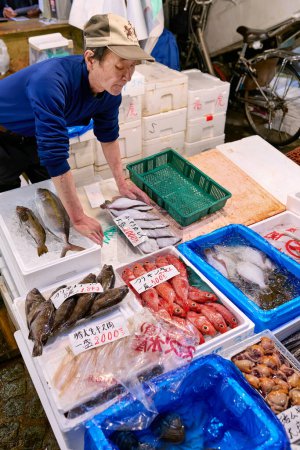 Téléchargez les photos : Le Japon. Tokyo. Le marché aux poissons - Date : 21 - 04 - 2023 - en image libre de droit