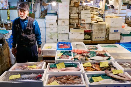 Téléchargez les photos : Le Japon. Tokyo. Le marché aux poissons - Date : 21 - 04 - 2023 - en image libre de droit