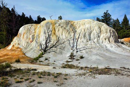 Téléchargez les photos : Orange Spring Mound aux sources thermales Mammoth. Parc national Yellowstone. Wyoming. États-Unis. Août 2020 - Date : 10 - 08 - 2023 - en image libre de droit