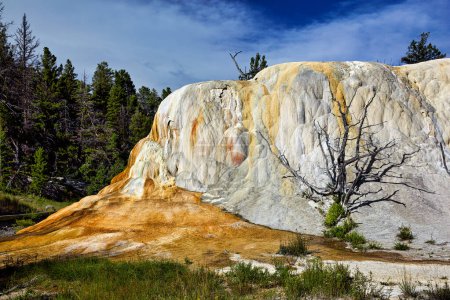 Foto de Orange Spring Mound en Mammoth Hot Springs. Parque Nacional Yellowstone. Wyoming. Estados Unidos. agosto 2020 - Fecha: 10 - 08 - 2023 - Imagen libre de derechos
