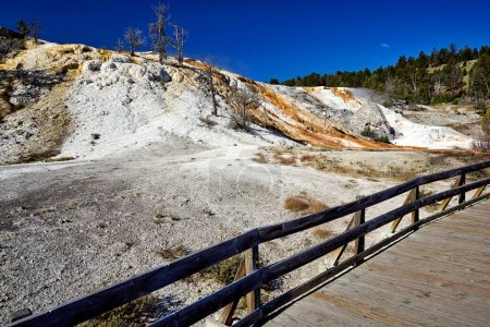 Photo for Palette Springs. Devils thumb at the Mammoth Hot Springs. Yellowstone National Park. Wyoming. USA. August 2020 - Date: 11 - 08 - 2023 - Royalty Free Image