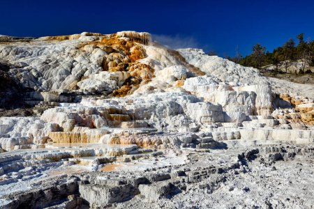 Photo for Palette Springs. Devils thumb at the Mammoth Hot Springs. Yellowstone National Park. Wyoming. USA. August 2020 - Date: 11 - 08 - 2023 - Royalty Free Image