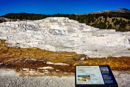Foto de Minerva Terraza en el Mammoth Hot Springs. Parque Nacional Yellowstone. Wyoming. Estados Unidos. agosto 2020 - Fecha: 11 - 08 - 2023 - Imagen libre de derechos