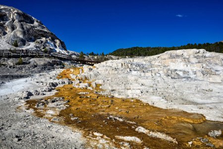 Téléchargez les photos : Minerva Terrasse aux sources thermales Mammoth. Parc national Yellowstone. Wyoming. États-Unis. Août 2020 - Date : 11 - 08 - 2023 - en image libre de droit
