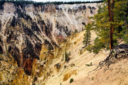 Foto de Grand Canyon Artist Point en el Parque Nacional Yellowstone. Wyoming. Estados Unidos. agosto 2020 - Fecha: 11 - 08 - 2023 - Imagen libre de derechos