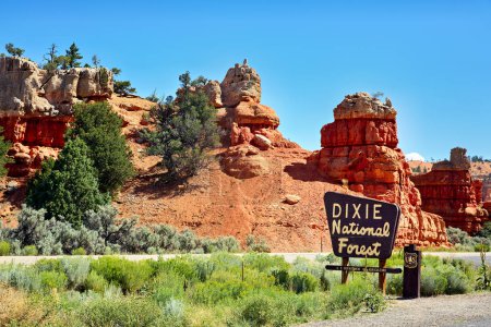 Foto de La entrada en el Bosque Nacional Dixie. Utah. Estados Unidos - Fecha: 16 - 08 - 2023 - Imagen libre de derechos