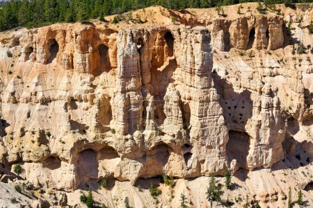 Téléchargez les photos : Vue de Bryce Point dans le parc national du Canyon-de-Bryce. Utah USA - Date: 17 - 08 - 2023 - en image libre de droit