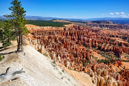 Foto de Mirador del Punto de Inspiración en el Parque Nacional Bryce Canyon. Utah USA - Fecha: 18 - 08 - 2023 - Imagen libre de derechos