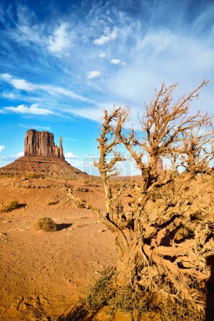 Téléchargez les photos : Monument Valley. Nation Navajo. East Mitten Butte - Date: 20 - 08 - 2023 - en image libre de droit