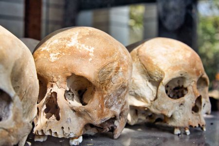 Téléchargez les photos : Crânes de prisonniers à Choeung Ek Crimes de guerre Génocide Musuem, utilisé par le régime Khmer Rouge comme prison de sécurité. Phnom Penh, Cambodge - Date : 02 - 01 - 2023 - en image libre de droit