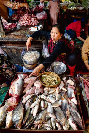 Téléchargez les photos : Poissonnerie à l'intérieur du marché russe (Psah Toul Tompagara) à Phnom Penh, Cambodge - Date : 03 - 01 - 2023 - en image libre de droit
