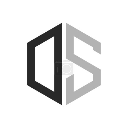 Modern Unique Hexagon Letter DS Logo Design Template. Elegant initial DS Letter Logo Concept