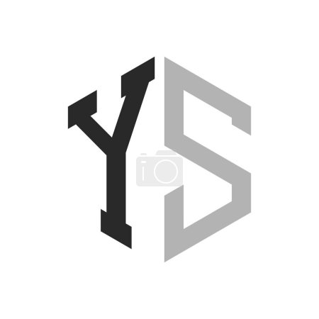 Modèle unique moderne de conception de logo YS lettre hexagone. Concept initial élégant de logo de lettre YS