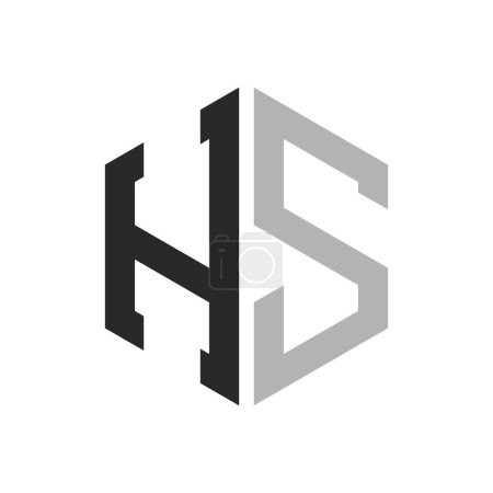 Modèle unique moderne de conception de logo de l'hexagone lettre HS. Concept initial élégant de logo de lettre de HS