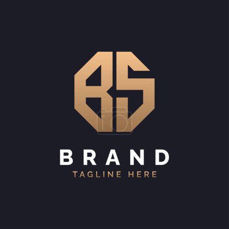 BS Logo Design. Modernes, minimalistisches, elegantes und luxuriöses BS Logo. Alphabet Letter BS Logo Design für Corporate Business Identity der Marke.