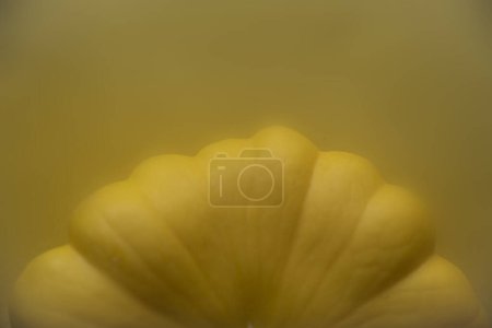 Photo for Yellow zucchini on a yellow background. High quality photo - Royalty Free Image