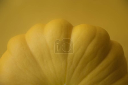 Photo for Yellow zucchini on a yellow background. High quality photo - Royalty Free Image
