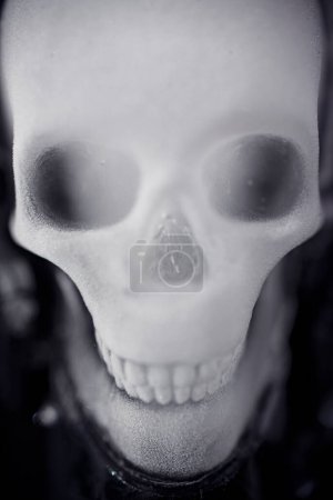 An icy skull on a black background. There are blurred areas in the photo. High quality photo