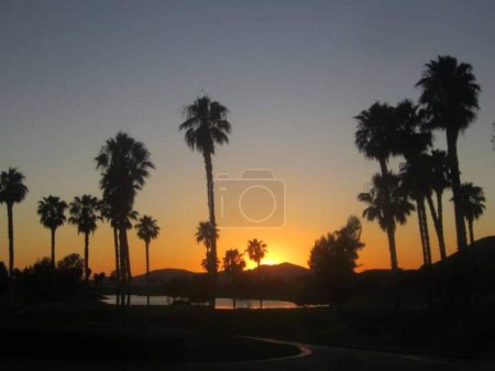 Photo for Bright beautiful sunset with palm trees over the lake - Royalty Free Image