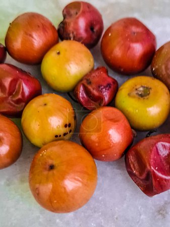 Organic Indian Jujube Ber fruit or berry (Ziziphus mauritiana) or date. Fruit of the Ziziphus mauritiana, or fruit of Indian jujube,Chinese date,Chinese apple,ber fruit,dunks,Indian plum.