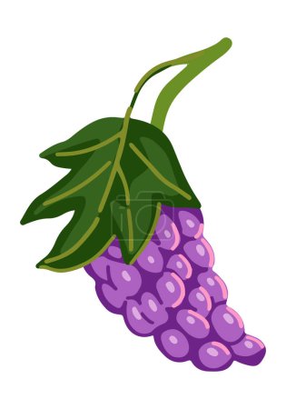Téléchargez les illustrations : Clipart de grappe de raisin. Doodle fruits mûrs isolé sur blanc. Illustration vectorielle colorée en style dessin animé.. - en licence libre de droit