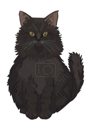 Illustration for Fluffy black cat clipart isolated on white. Cartoon style drawing of witch familiar animal. Halloween creepy fauna modern vector illustration.. - Royalty Free Image