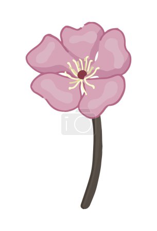 Photo for Cherry blossom flower doodle. Spring time botanical clipart. Cartoon vector illustration isolated on white background. - Royalty Free Image