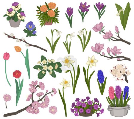 Illustration for Spring botanical doodle collection. Clipart set of blooming trees branches, spring time flowers. Vector illustrations isolated on white. - Royalty Free Image