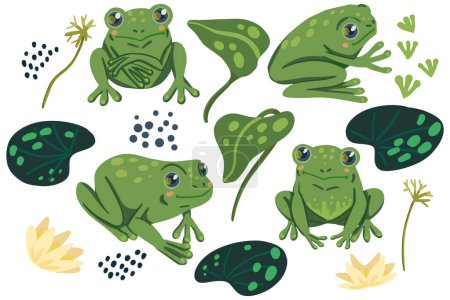 Cute frogs, water lily leaves flat vector illustrations. Colorful collection in scandinavian style. Abstract cartoon animals. Simple elements for design.