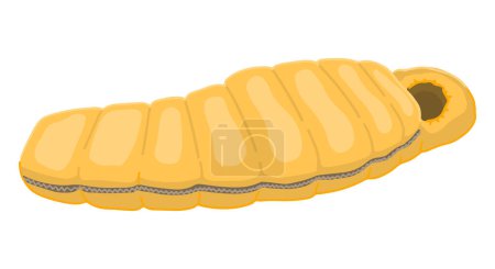 Photo for Camping sleeping bag doodle. Clipart of hiking equipment, travel attribute. Cartoon vector illustration isolated on white. - Royalty Free Image