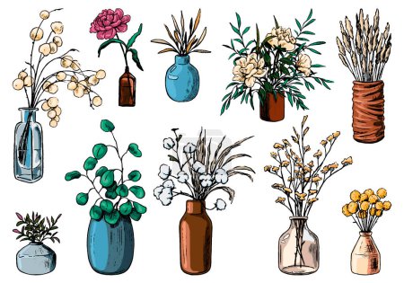 Sammlung verschiedenster Vasen, Flaschen und Gefäße mit Blumen und Pflanzen. Handgezeichnete Vektorillustration. Botanisches Vintage Set vorhanden. Dekorative florale farbenfrohe Elemente isoliert auf Weiß. Für Design verwendbar.