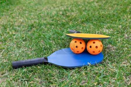 Foto de Raquetas y bolas de pickleball en el césped - Imagen libre de derechos