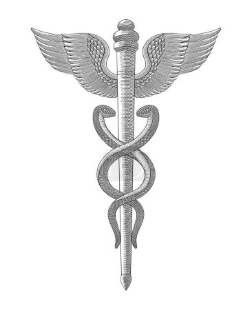 Illustration for Caduceus medical symbol, Vintage engraving drawing style vector illustration - Royalty Free Image