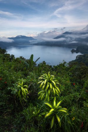 Téléchargez les photos : Point de vue panoramique sur le lac Beratan, les collines et la forêt de jungle, Régence de Tabanan, Bali - en image libre de droit