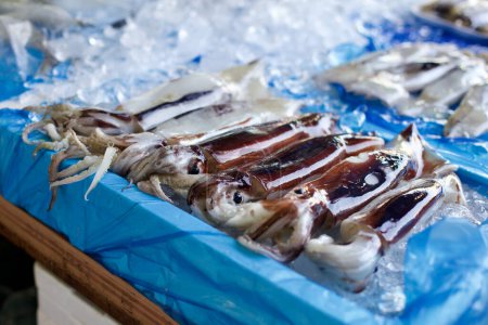 Photo for In a bustling Korean market, fresh squid is artfully displayed on ice, showcasing the vibrancy of local seafood traditions. - Royalty Free Image
