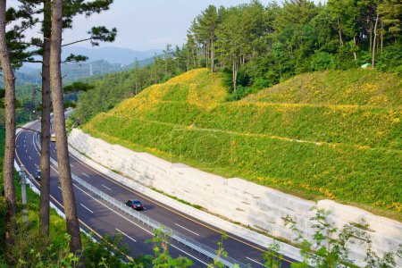 Photo for A four-laned highway carves through a shallow valley in Korea, flanked by lush green hillsides and vibrant orange flowers, blending infrastructure with natural beauty. - Royalty Free Image