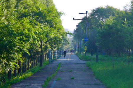 Photo for Seoul, South Korea - June 2, 2023: Early misty morning view down the bike path in Gwangnaru Hangang Park, with cyclists navigating the tranquil route. - Royalty Free Image