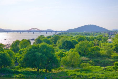 Photo for Seoul, South Korea - June 3, 2023: A view of the vast green riverside of Nanji Eco Park, with trees and the Banghwa Bridge crossing the Han River in the distance. - Royalty Free Image