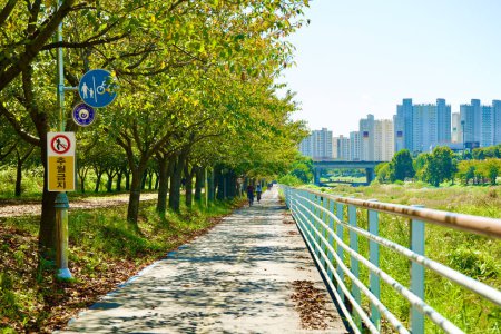 Photo for Hanam City, South Korea - October 1, 2023: A long, straight bike path stretches into the distance, bordered by trees on one side and a fence on the other, with apartment buildings in the background. - Royalty Free Image
